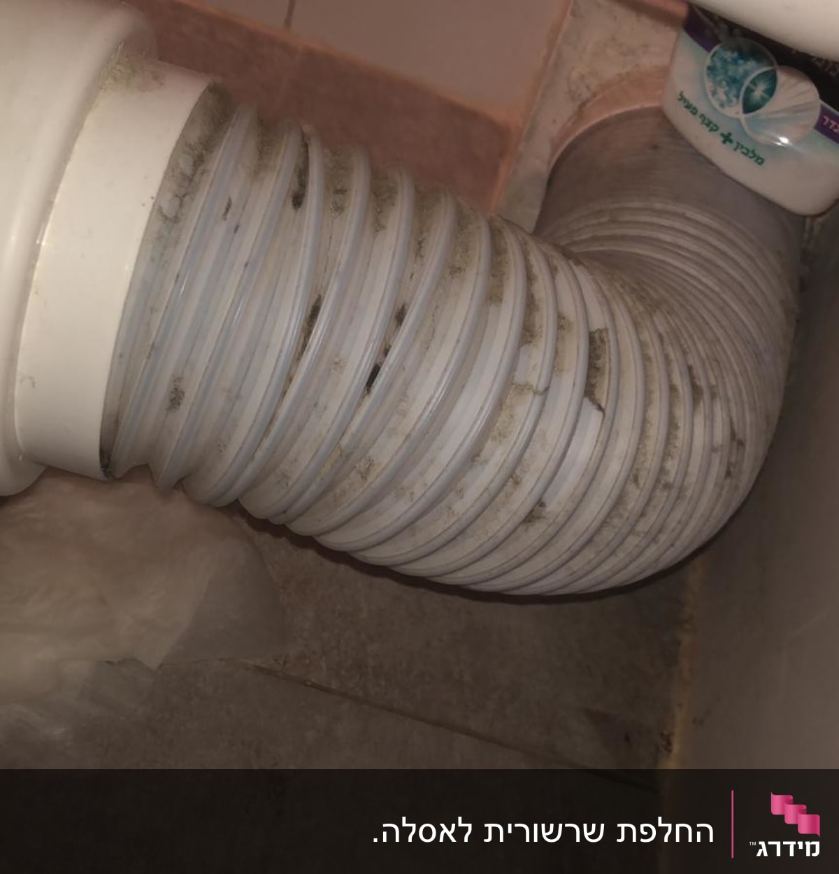 צינור גמיש מחובר לאסלה עם לכלוך קל.